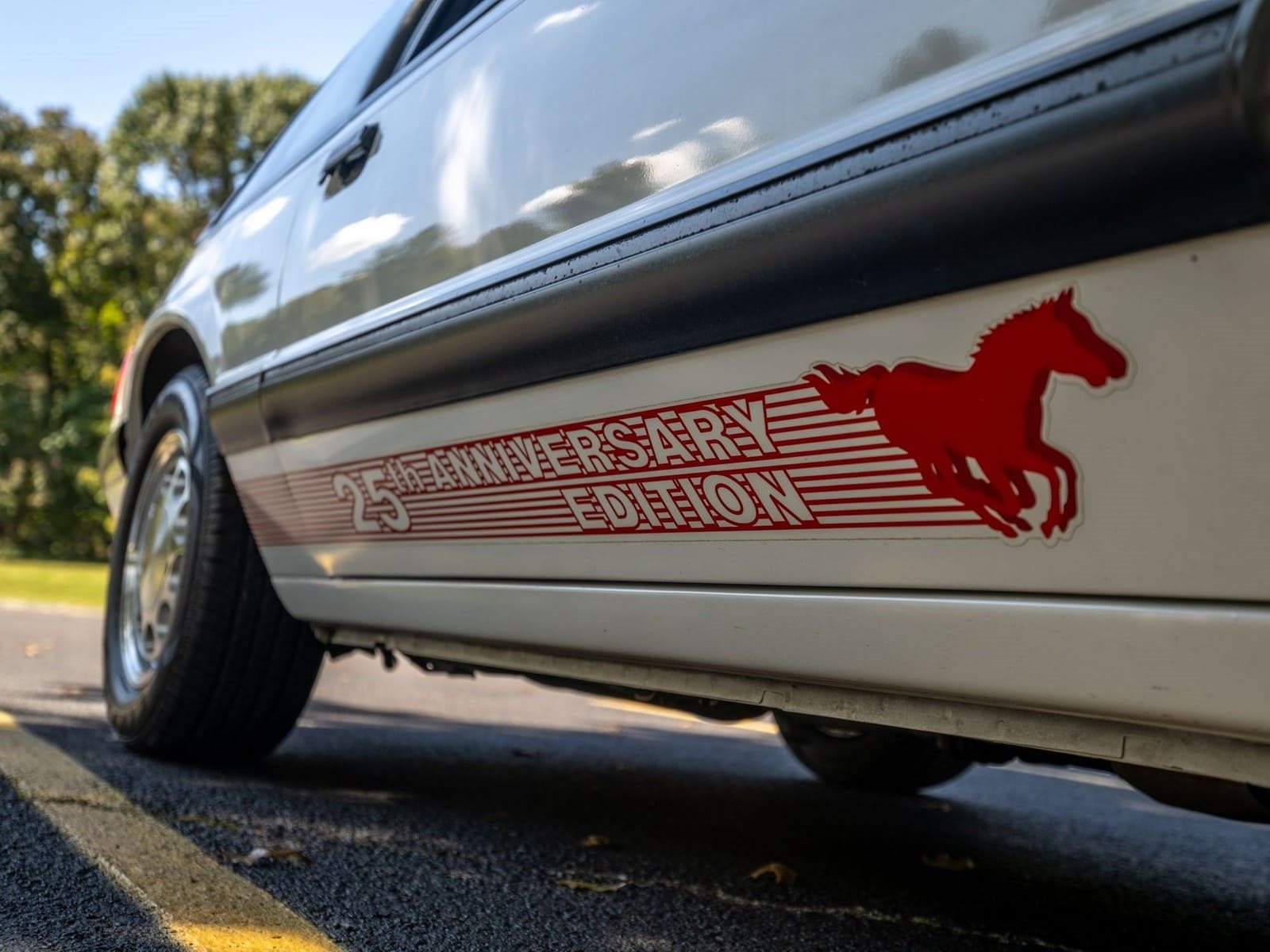 FORD MUSTANG 25TH ANNIVERSARY EDITION, foto 76