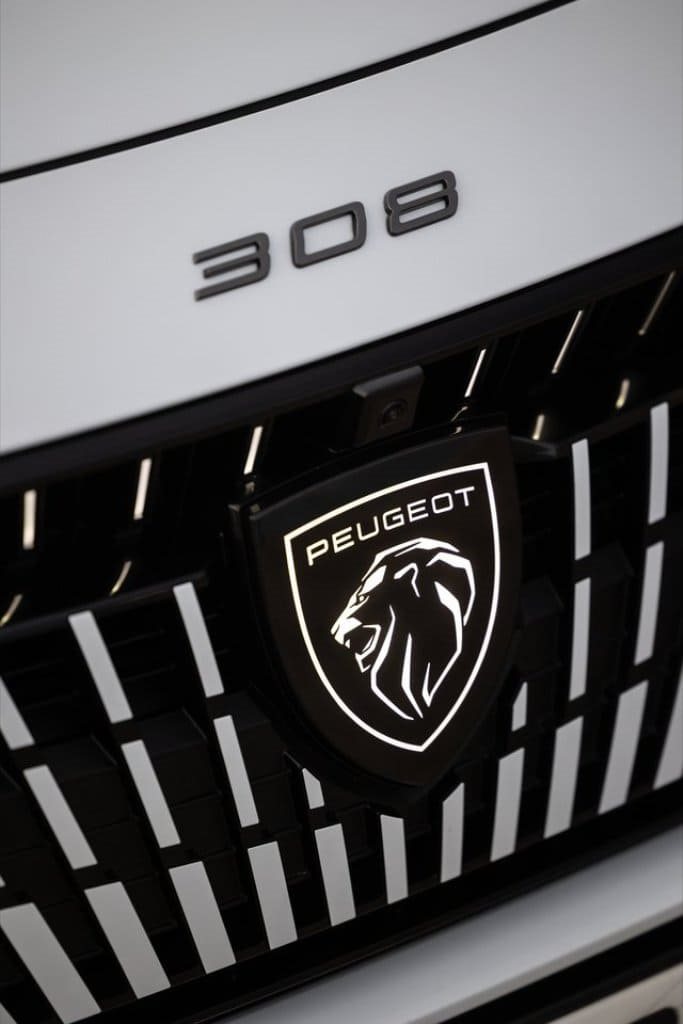 2026 - PEUGEOT 308, foto 102