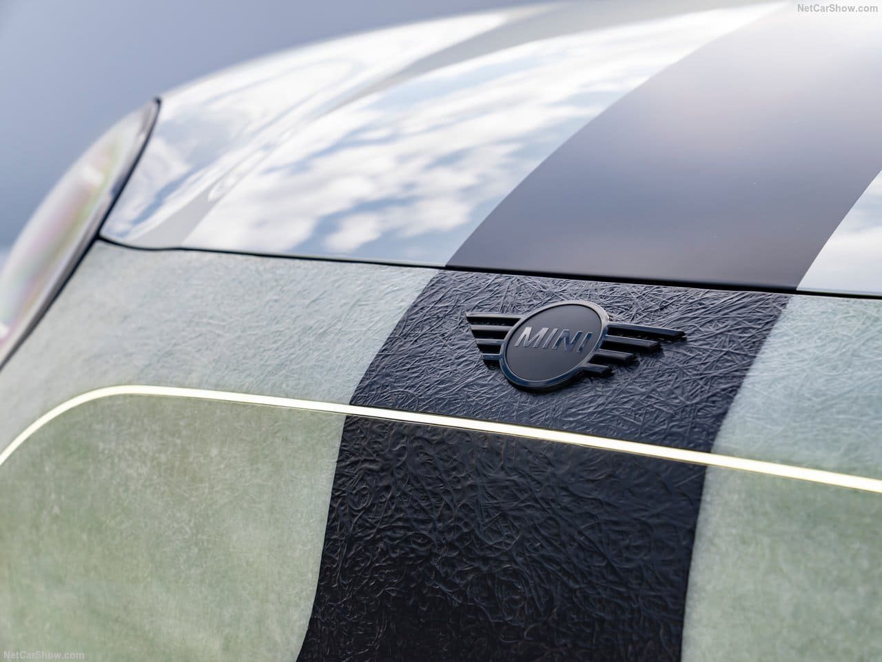 MINI JCW THE SKEG CONCEPT, foto 48