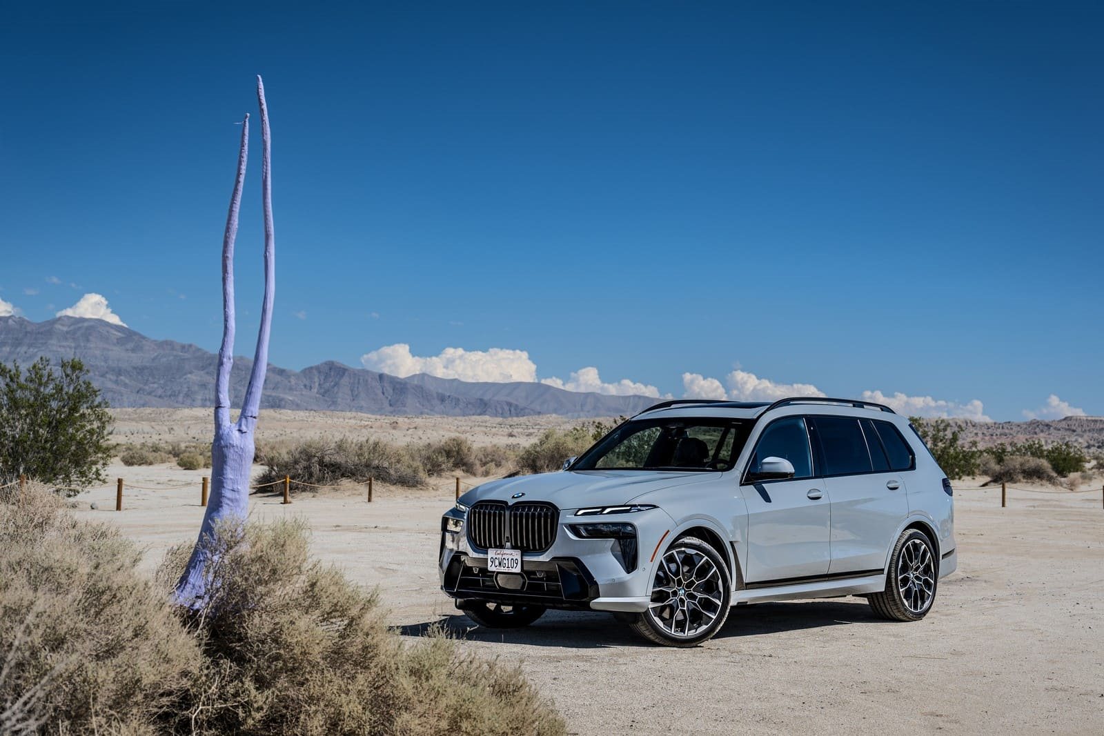 2025 - BMW X7 xDRIVE40i M SPORT, foto 14