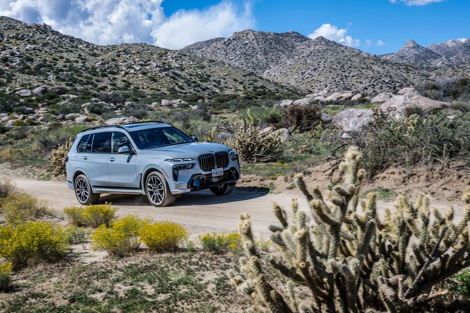 2025 - BMW X7 xDRIVE40i M SPORT, foto 18