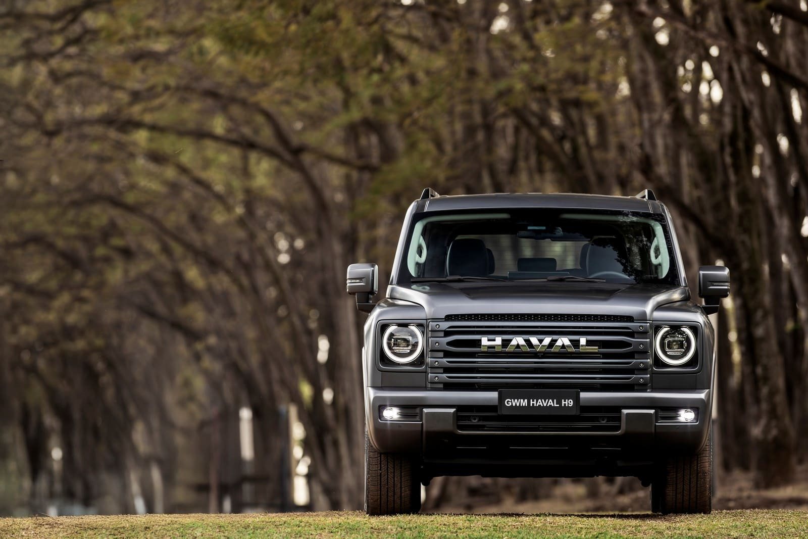 2025 - GWM HAVAL H9, foto 10