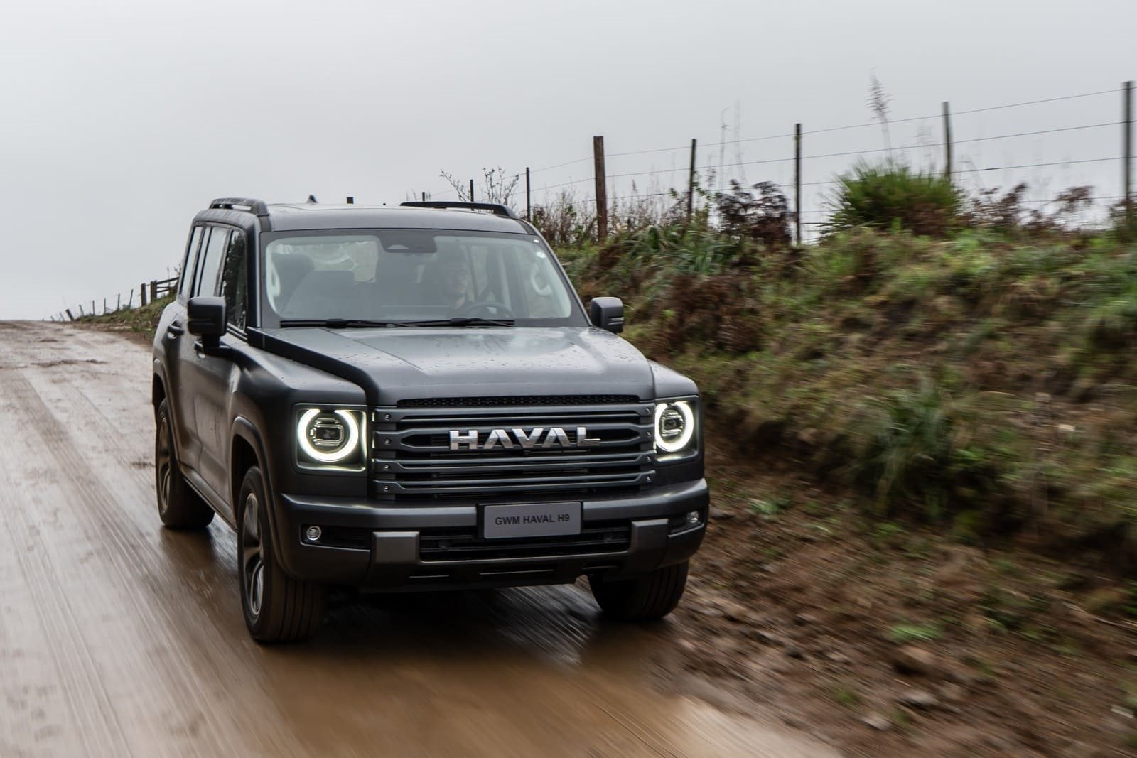 2025 - GWM HAVAL H9, foto 73