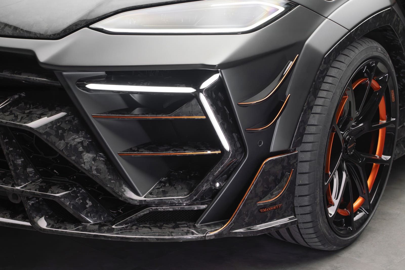 2025 - LAMBORGHINI URUS VENATUS SE BY MANSORY, foto 9