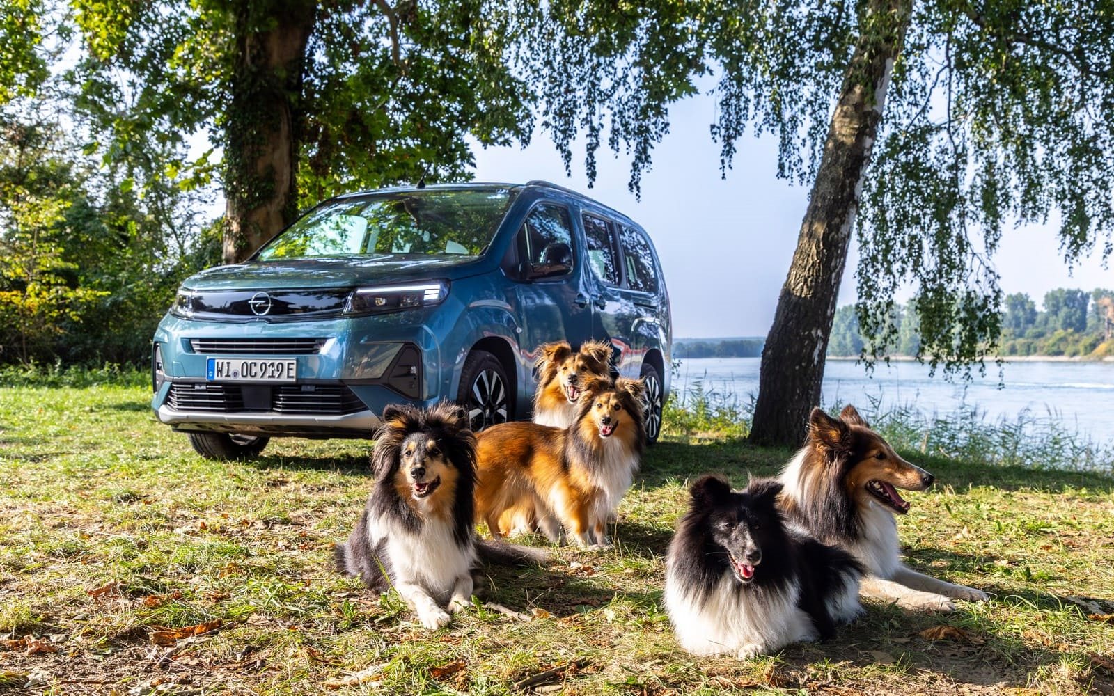 2025 - OPEL COMBO ELECTRIC, foto 4