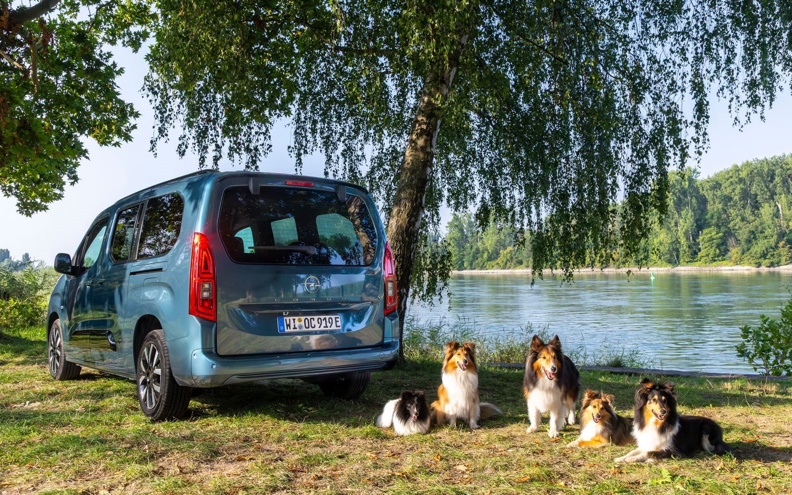 2025 - OPEL COMBO ELECTRIC, foto 5