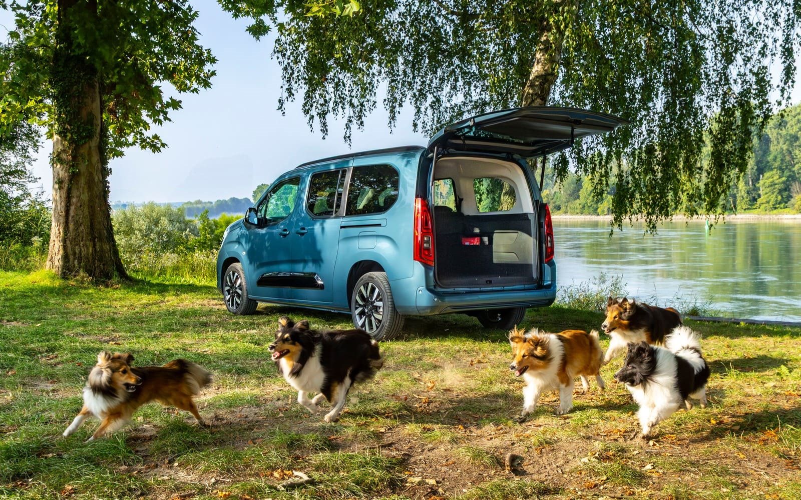 2025 - OPEL COMBO ELECTRIC, foto 6