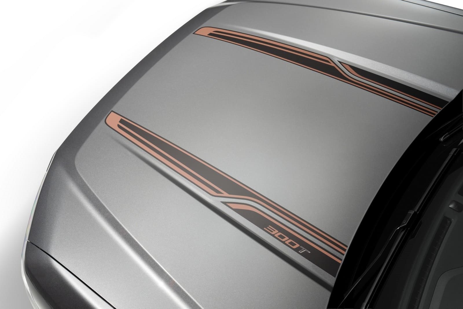 2025 - FORD MAVERICK 300T CONCEPT, foto 7