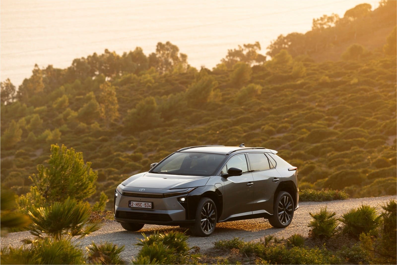 2026 - TOYOTA bZ4X PRECIOUS METAL, foto 16