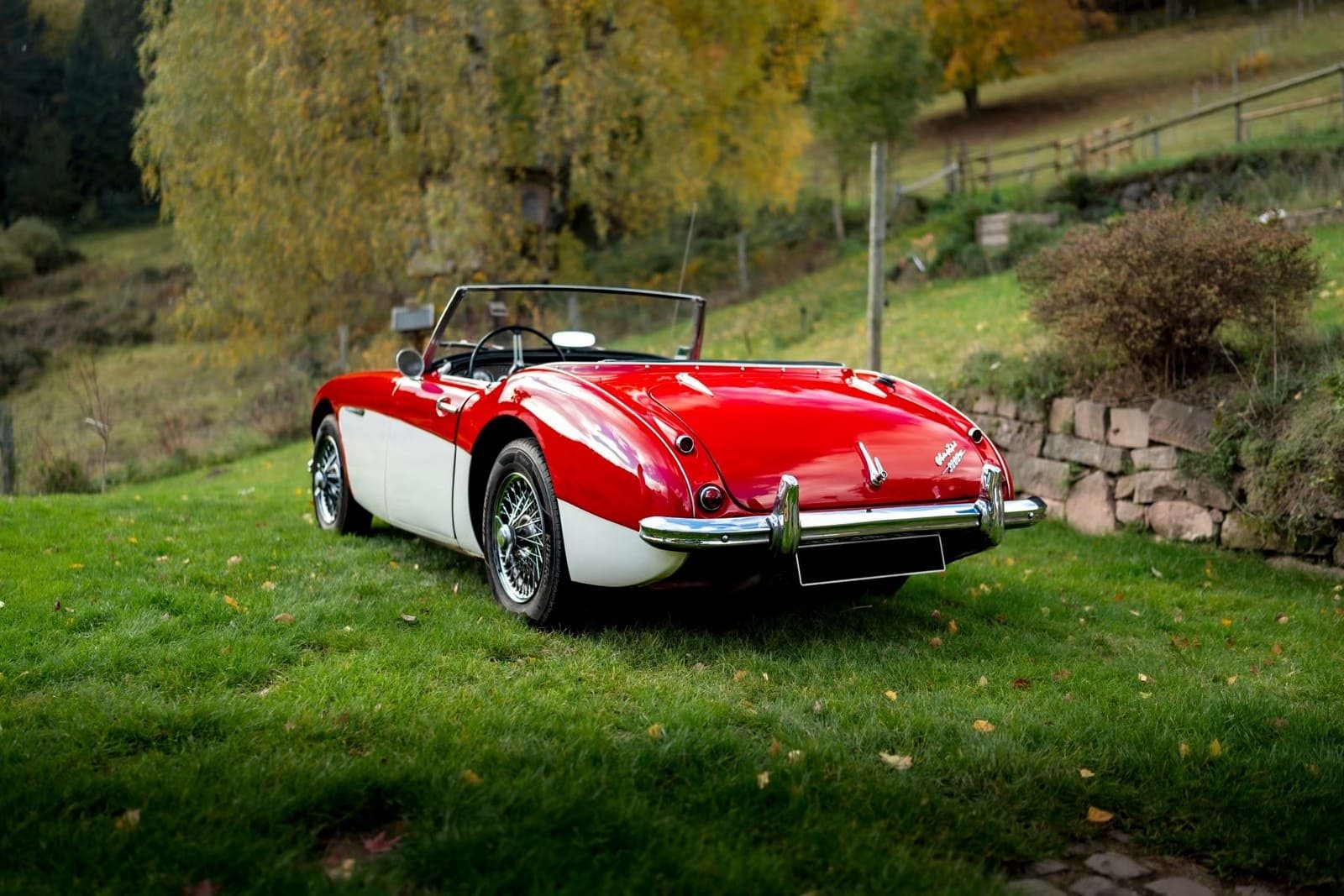 AUSTIN-HEALEY 3000 MK-I BT7 WHITE/RED, foto 2
