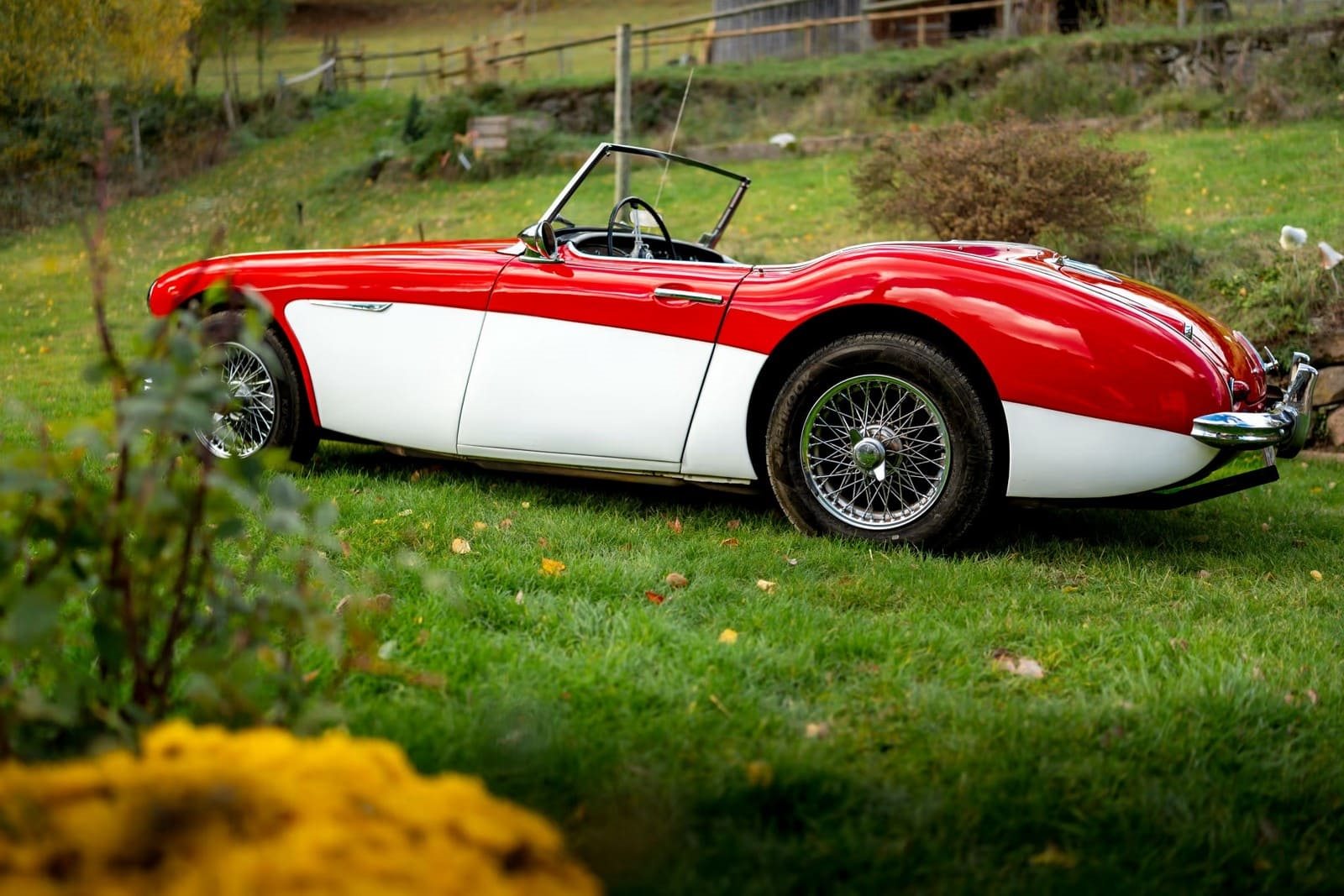 AUSTIN-HEALEY 3000 MK-I BT7 WHITE/RED, foto 4