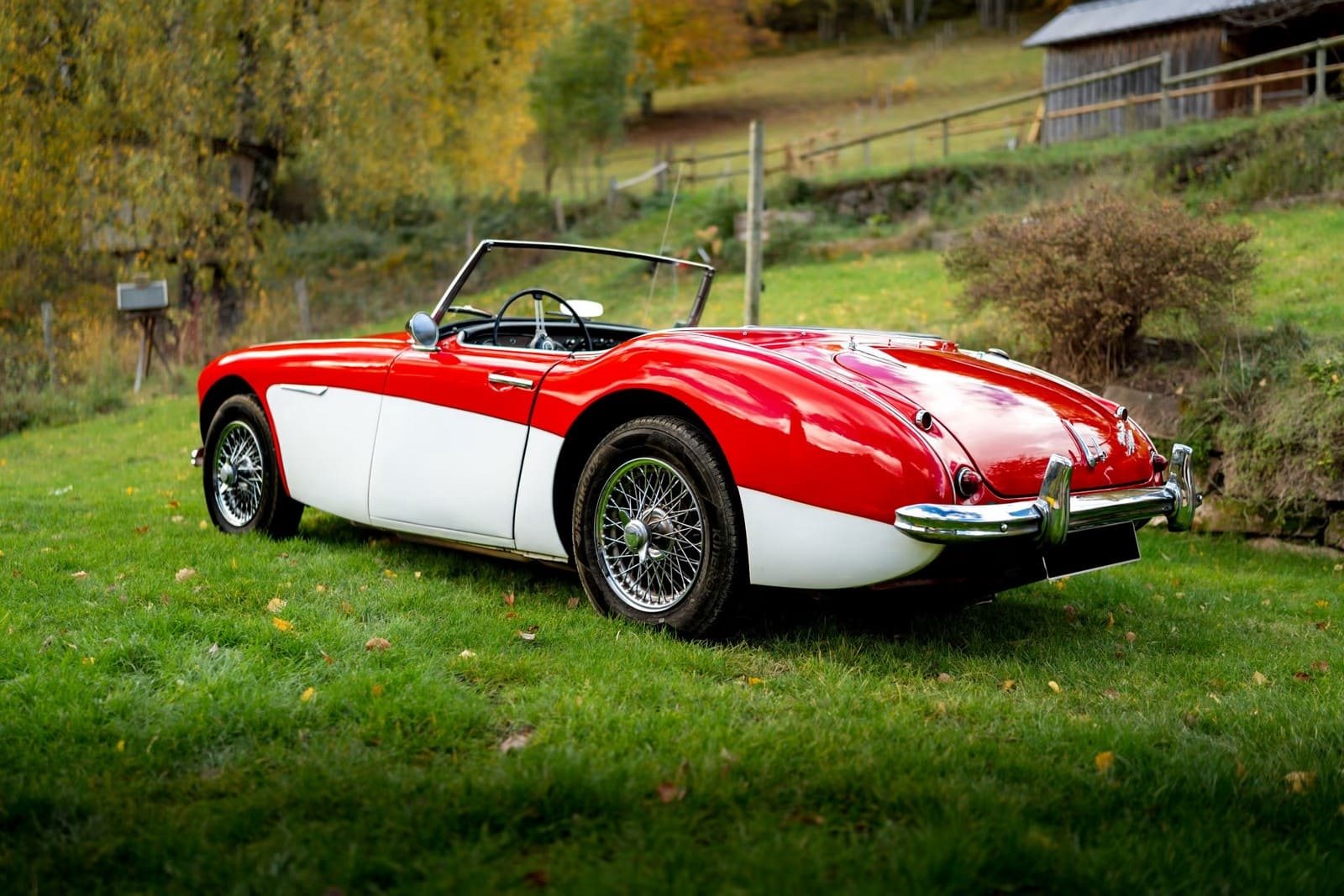 AUSTIN-HEALEY 3000 MK-I BT7 WHITE/RED, foto 5