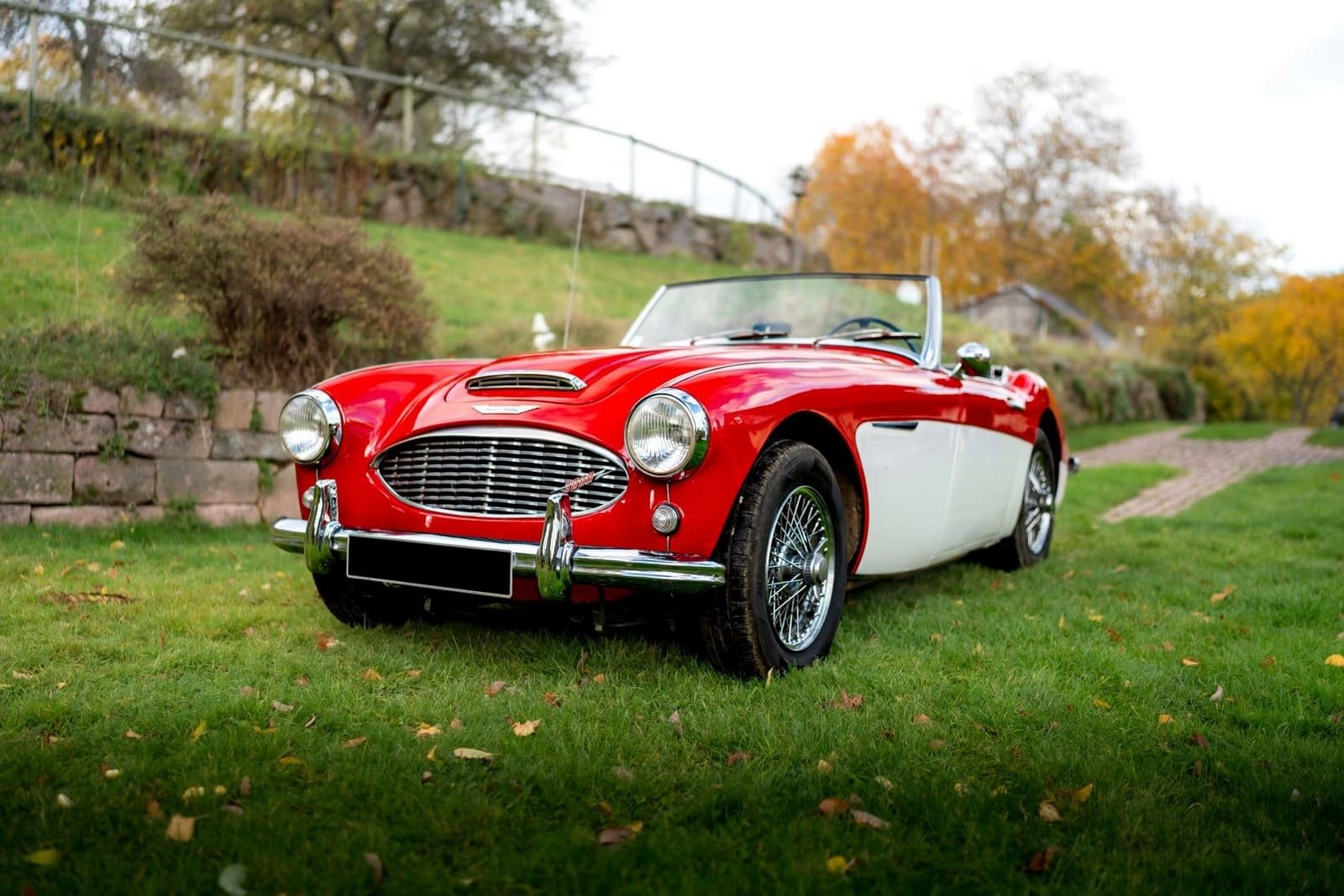 AUSTIN-HEALEY 3000 MK-I BT7 WHITE/RED, foto 11