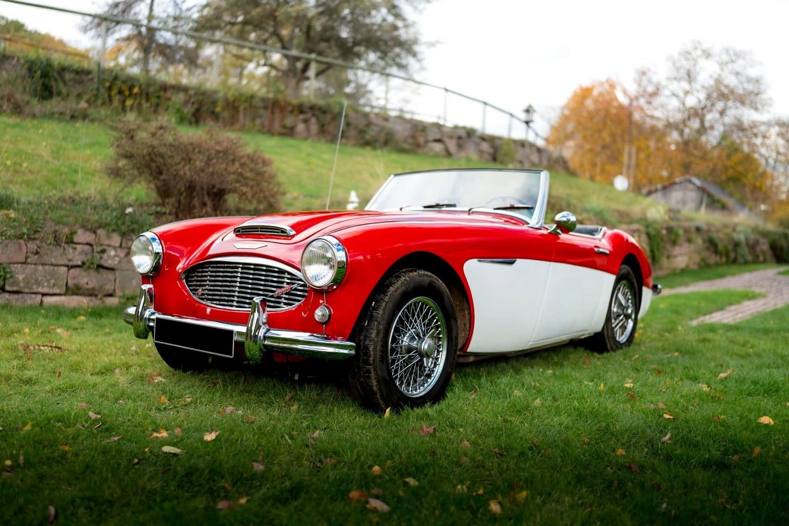 AUSTIN-HEALEY 3000 MK-I BT7 WHITE/RED, foto 12