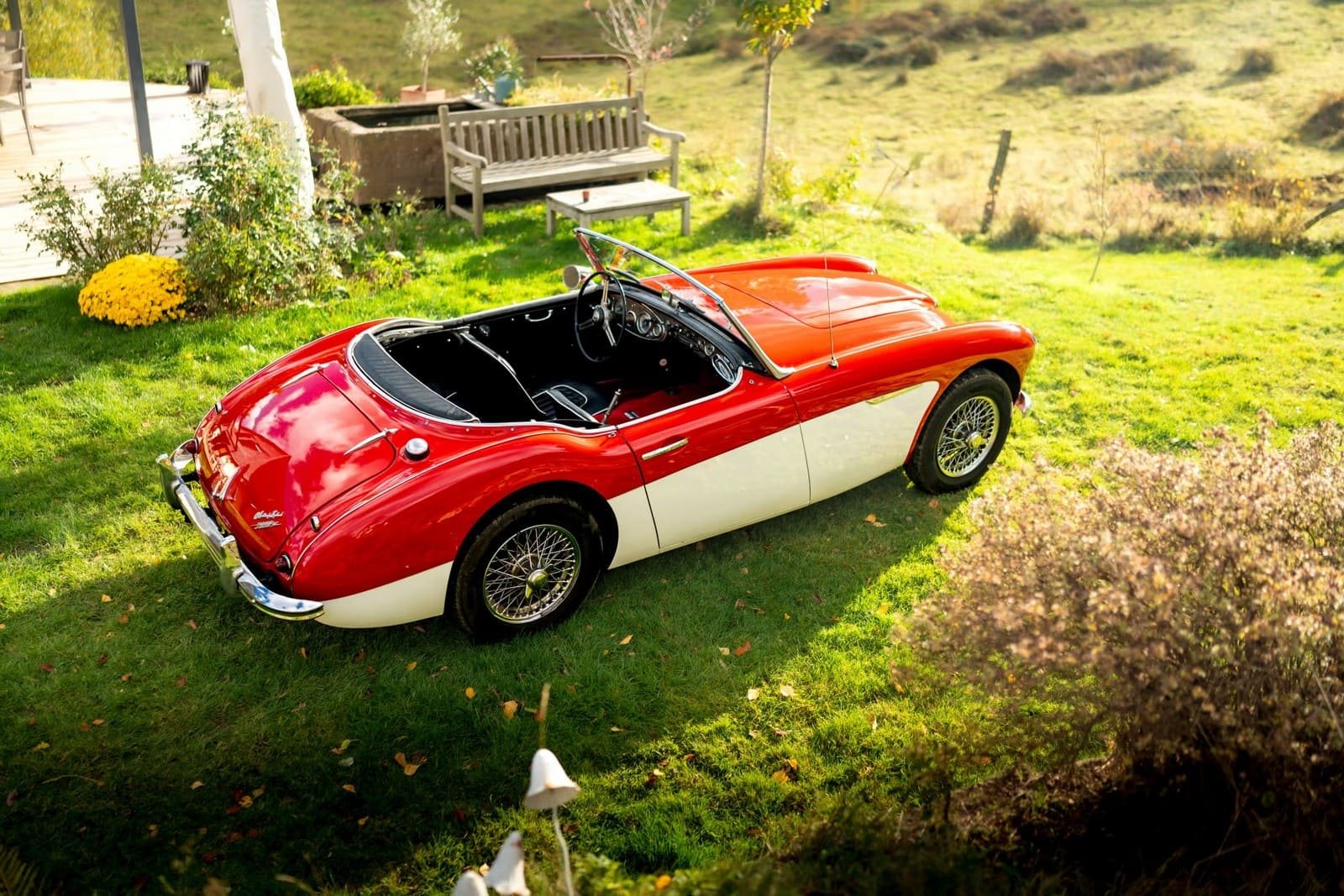 AUSTIN-HEALEY 3000 MK-I BT7 WHITE/RED, foto 21