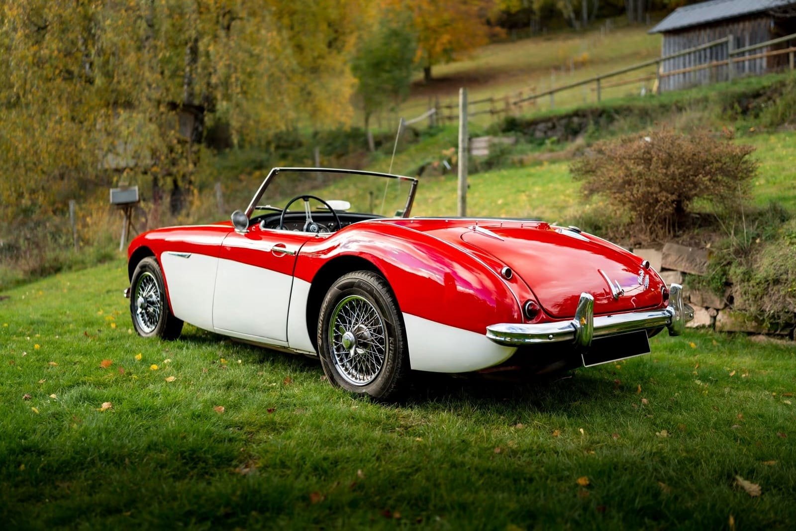 AUSTIN-HEALEY 3000 MK-I BT7 WHITE/RED, foto 23