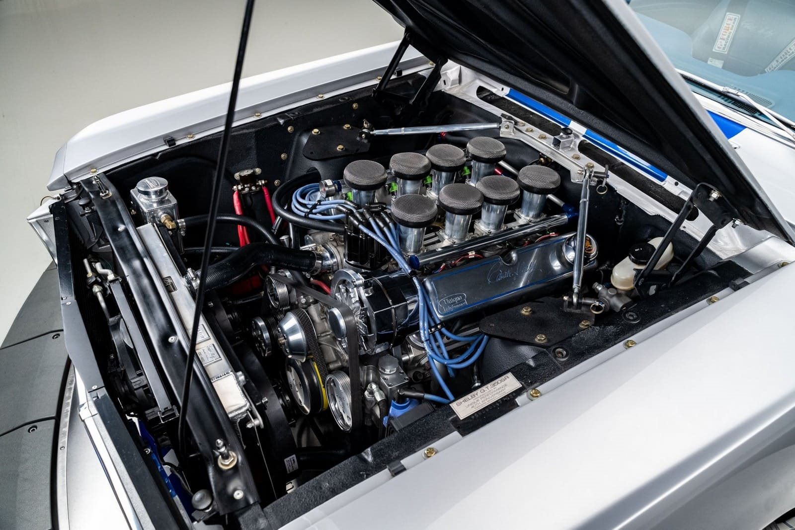 1965 - FORD MUSTANG SHELBY GT350SR SILVER, foto 31
