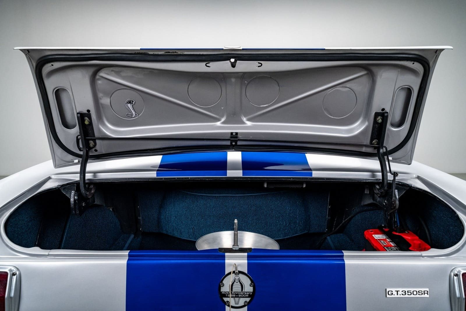 1965 - FORD MUSTANG SHELBY GT350SR SILVER, foto 47