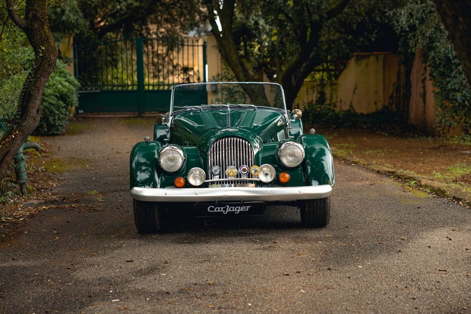 1982 - MORGAN PLUS 8 ROADSTER, foto 3