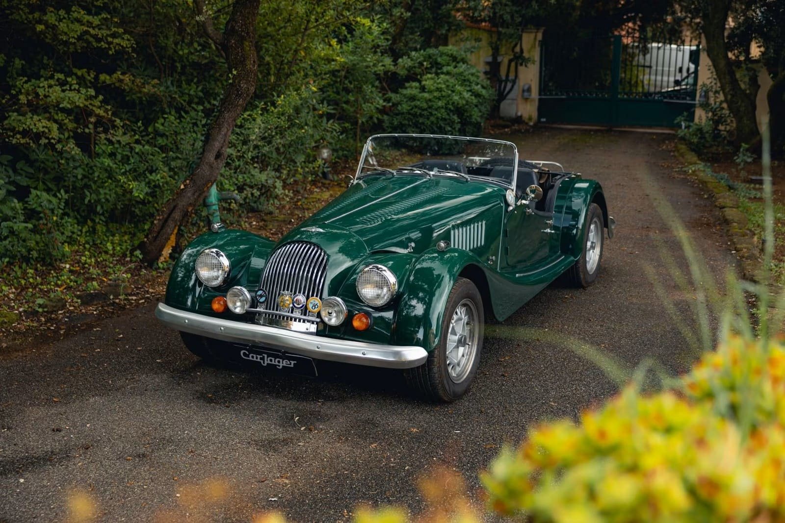 1982 - MORGAN PLUS 8 ROADSTER, foto 61