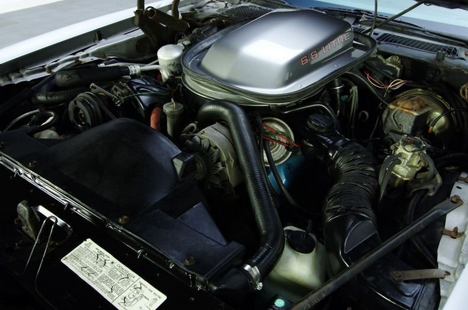 1979 - PONTIAC FIREBIRD TRANS AM 10TH ANNIVERSARY EDITION, foto 21