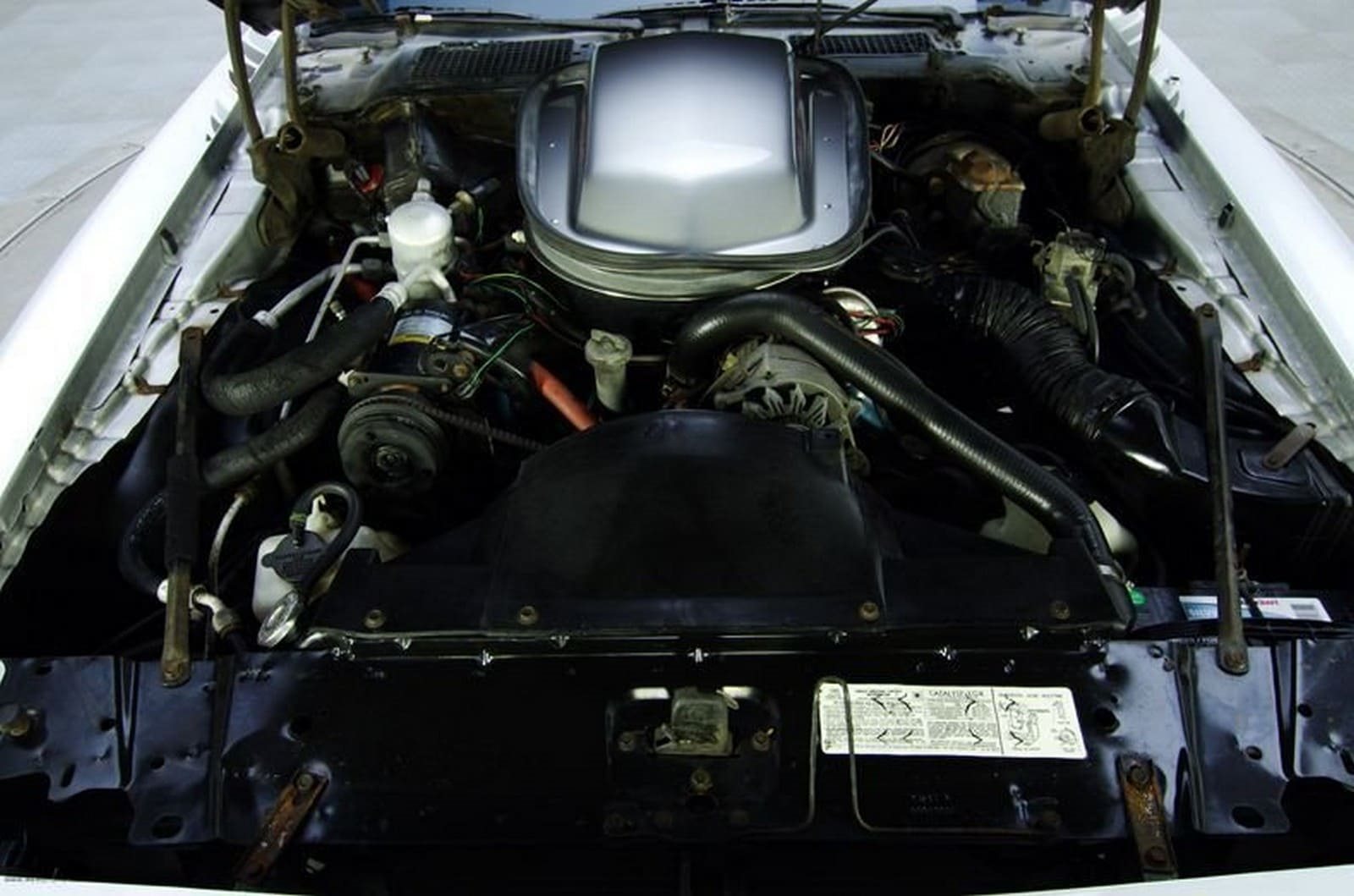 1979 - PONTIAC FIREBIRD TRANS AM 10TH ANNIVERSARY EDITION, foto 22