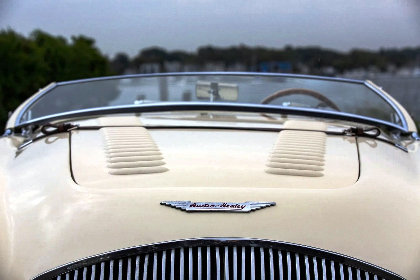 1956 - AUSTIN-HEALEY 100/M LE MANS ENGLISH WHITE-BLACK, foto 36