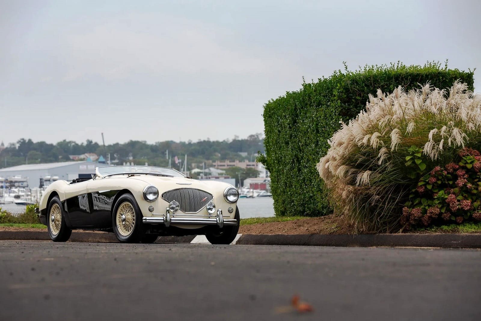 1956 - AUSTIN-HEALEY 100/M LE MANS ENGLISH WHITE-BLACK, foto 51