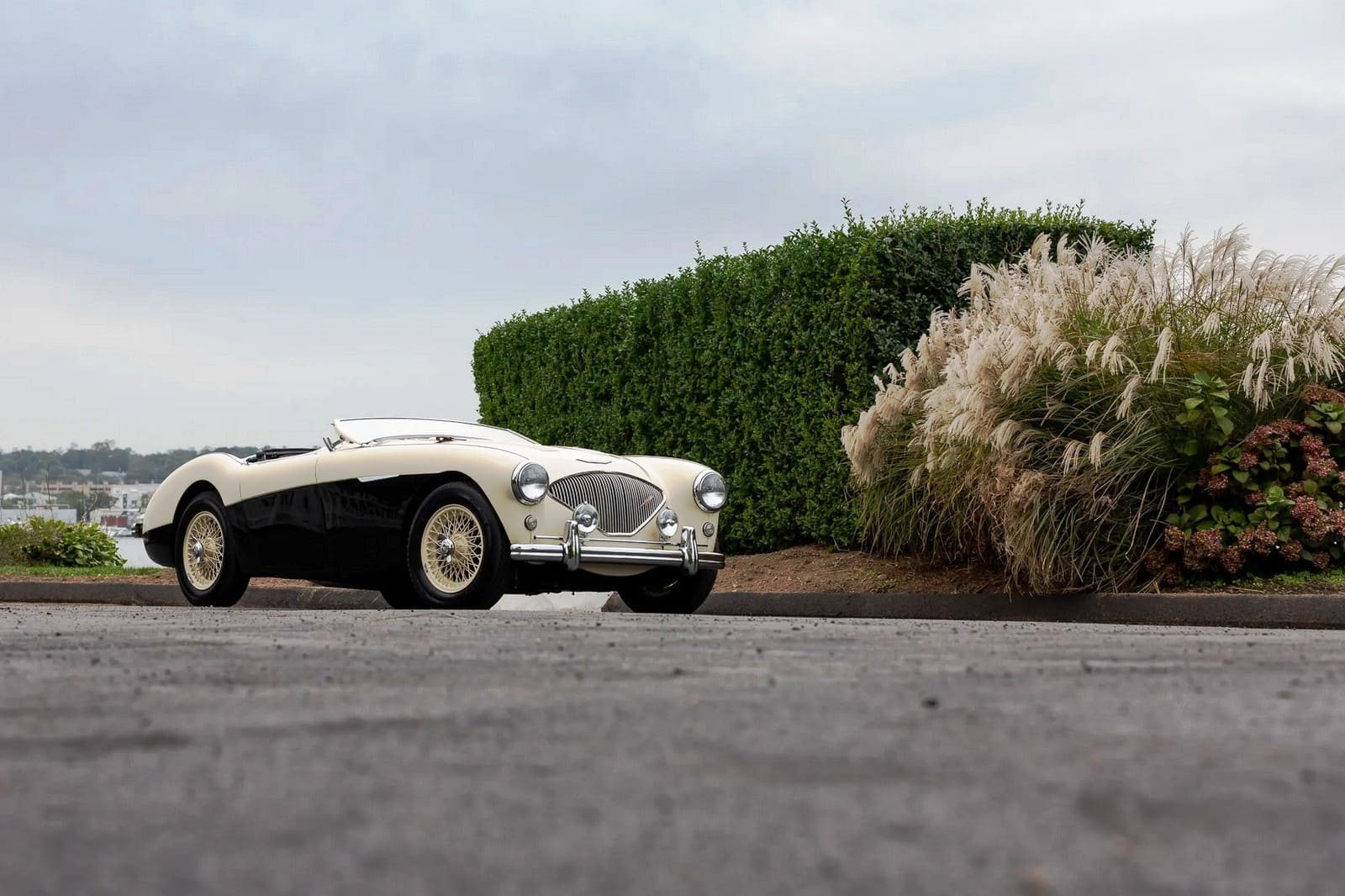1956 - AUSTIN-HEALEY 100/M LE MANS ENGLISH WHITE-BLACK, foto 56