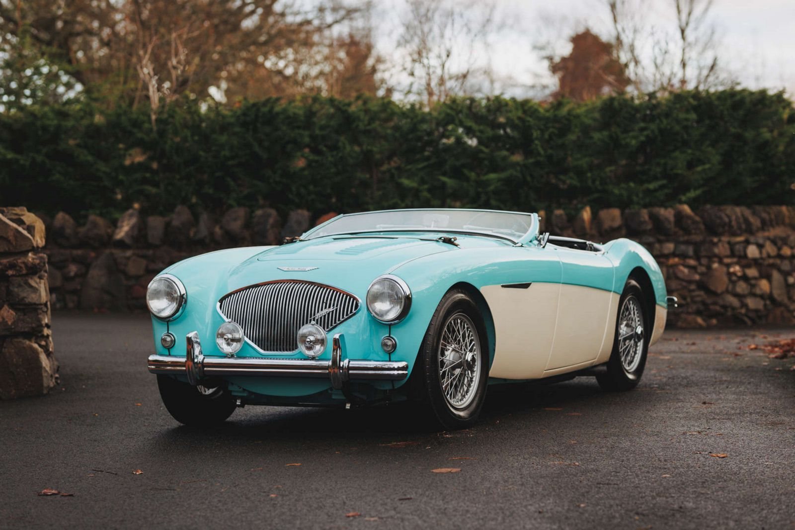 AUSTIN-HEALEY 100/M LE MANS WHITE-BLUE, foto 1