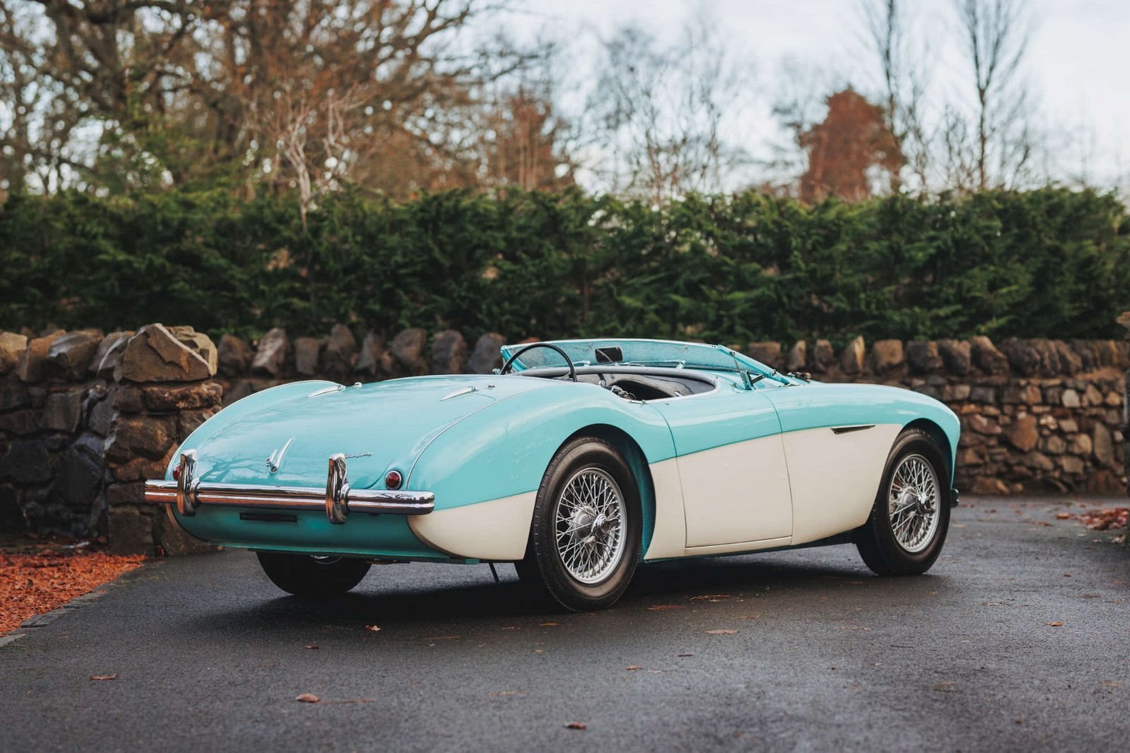 AUSTIN-HEALEY 100/M LE MANS WHITE-BLUE, foto 2
