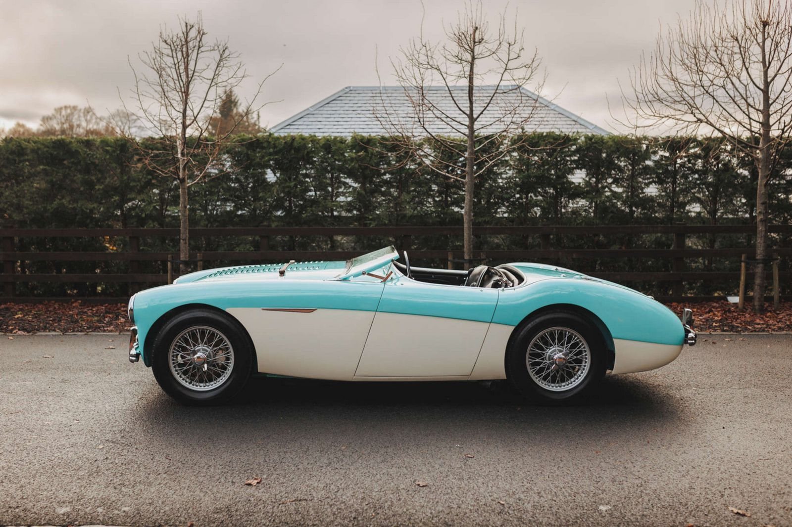 AUSTIN-HEALEY 100/M LE MANS WHITE-BLUE, foto 3