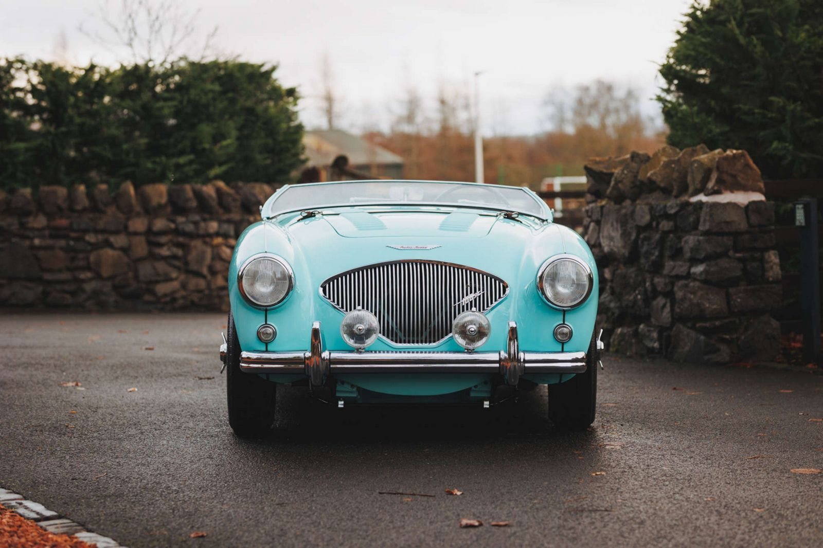 AUSTIN-HEALEY 100/M LE MANS WHITE-BLUE, foto 4