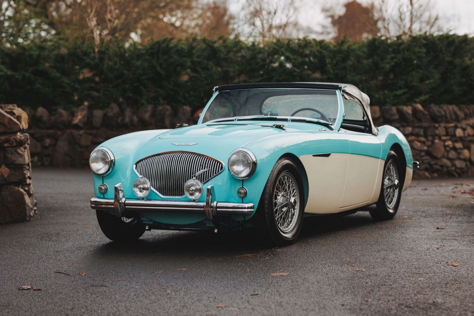 AUSTIN-HEALEY 100/M LE MANS WHITE-BLUE, foto 8