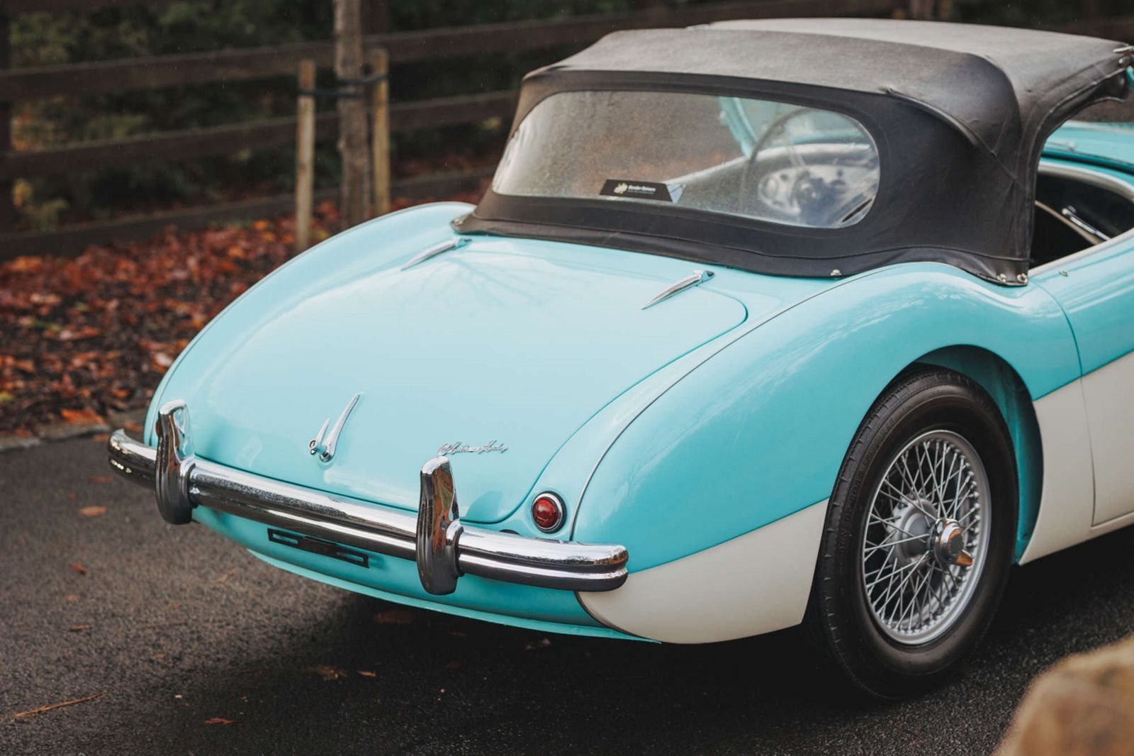 AUSTIN-HEALEY 100/M LE MANS WHITE-BLUE, foto 10