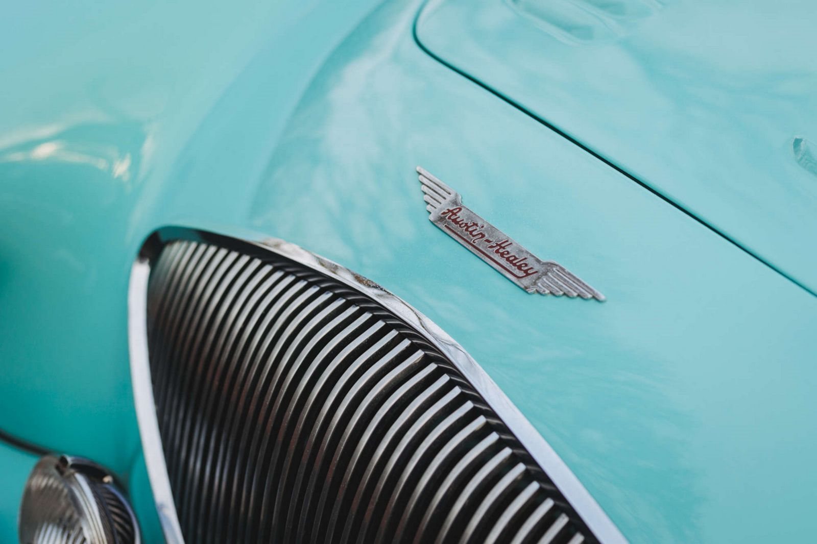 AUSTIN-HEALEY 100/M LE MANS WHITE-BLUE, foto 20