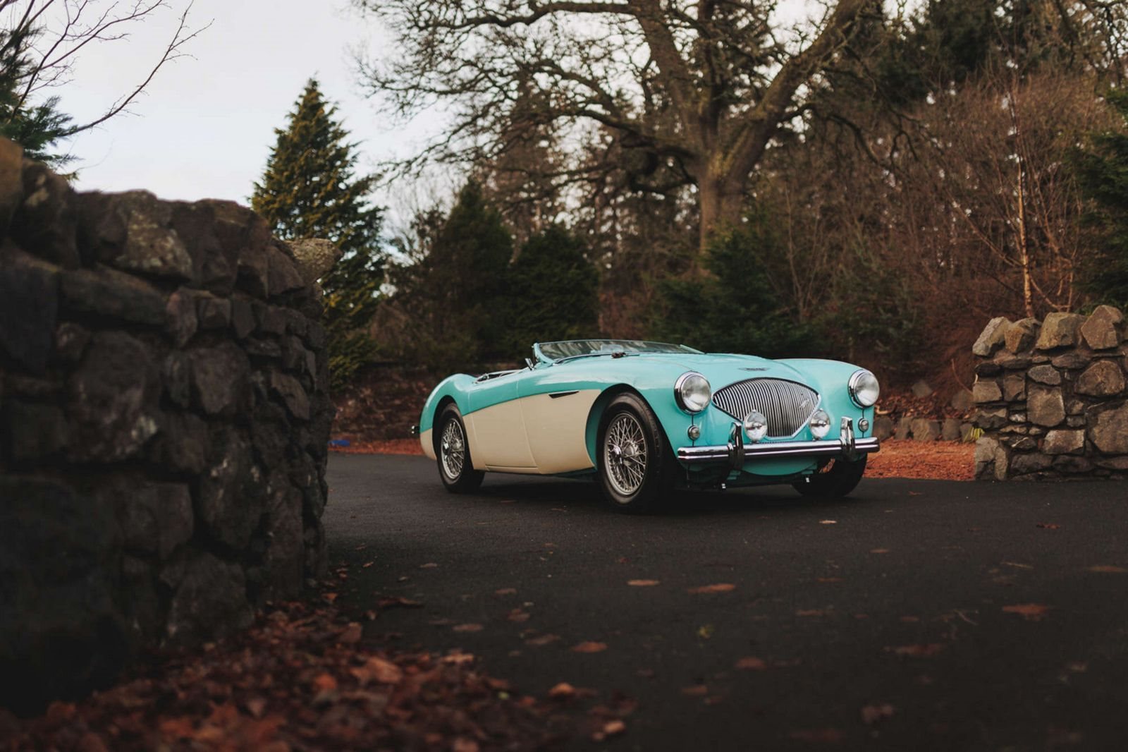 AUSTIN-HEALEY 100/M LE MANS WHITE-BLUE, foto 21