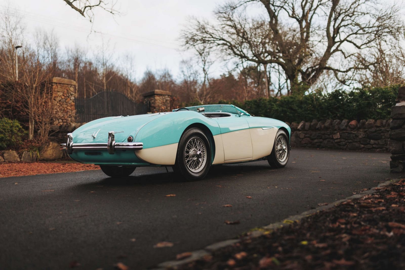 AUSTIN-HEALEY 100/M LE MANS WHITE-BLUE, foto 22