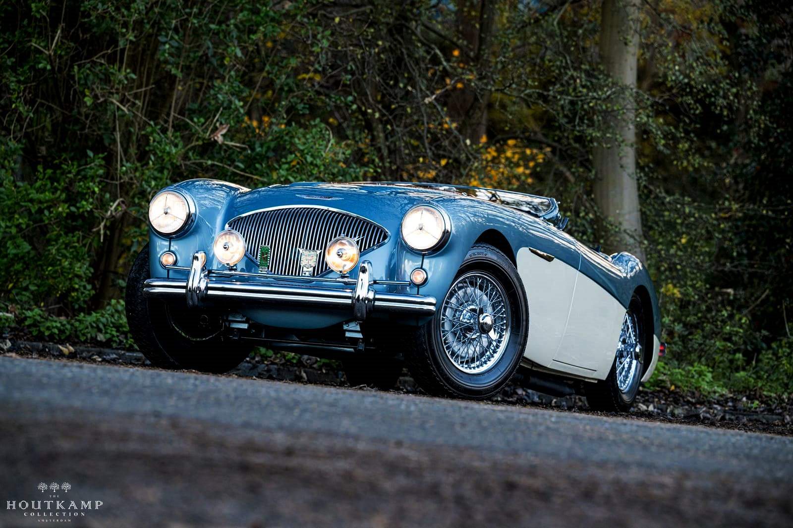 AUSTIN-HEALEY 100/M LE MANS WHITE-HEALEY BLUE, foto 66