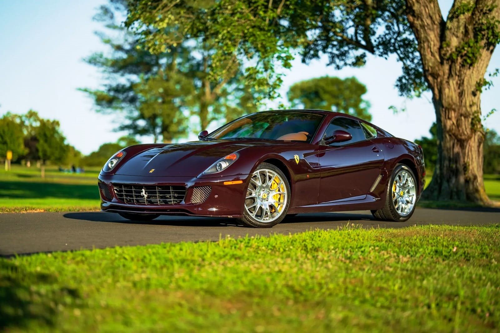 2007 - FERRARI F599 GTB FIORANO VINACCIA, foto 2