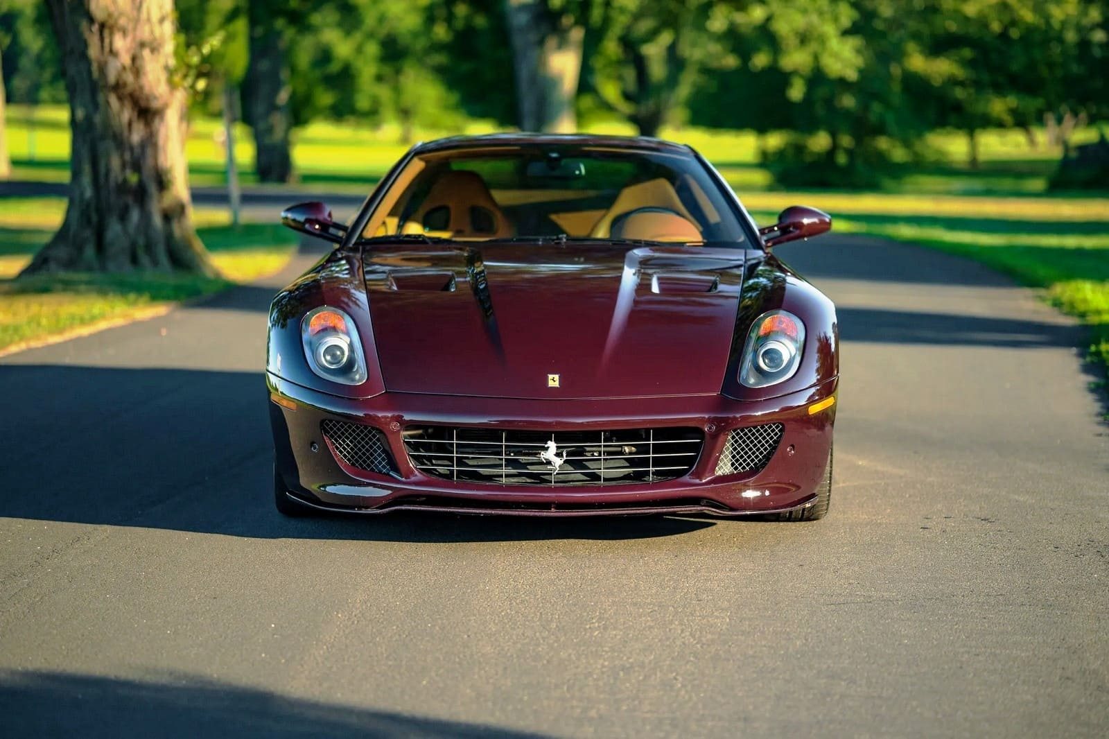 2007 - FERRARI F599 GTB FIORANO VINACCIA, foto 11