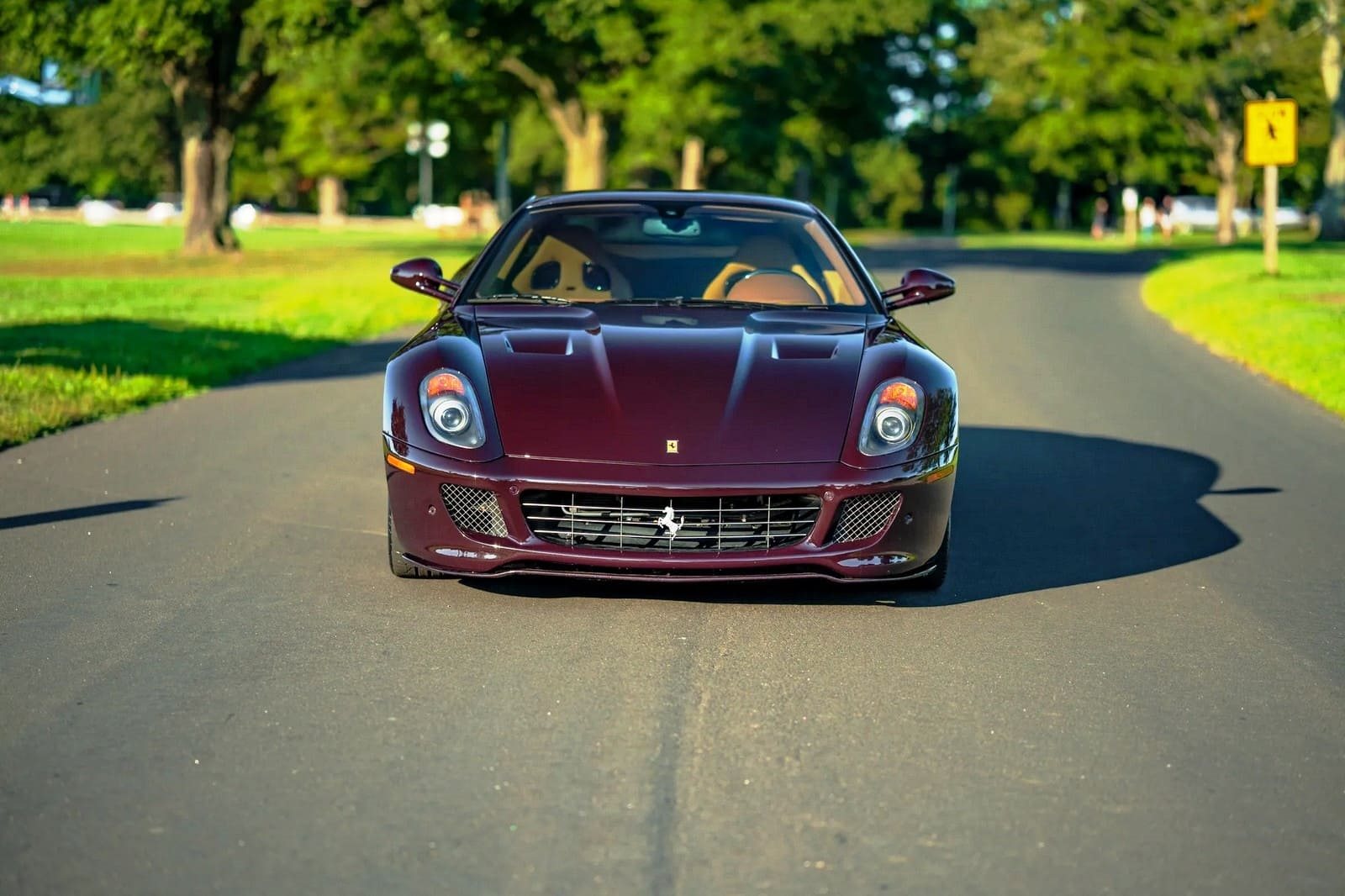 2007 - FERRARI F599 GTB FIORANO VINACCIA, foto 13