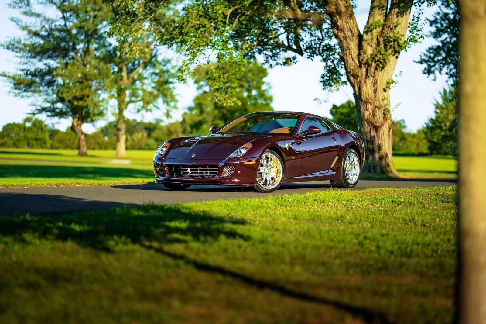 2007 - FERRARI F599 GTB FIORANO VINACCIA, foto 15
