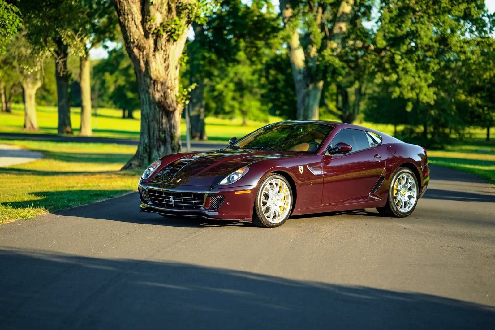 2007 - FERRARI F599 GTB FIORANO VINACCIA, foto 16