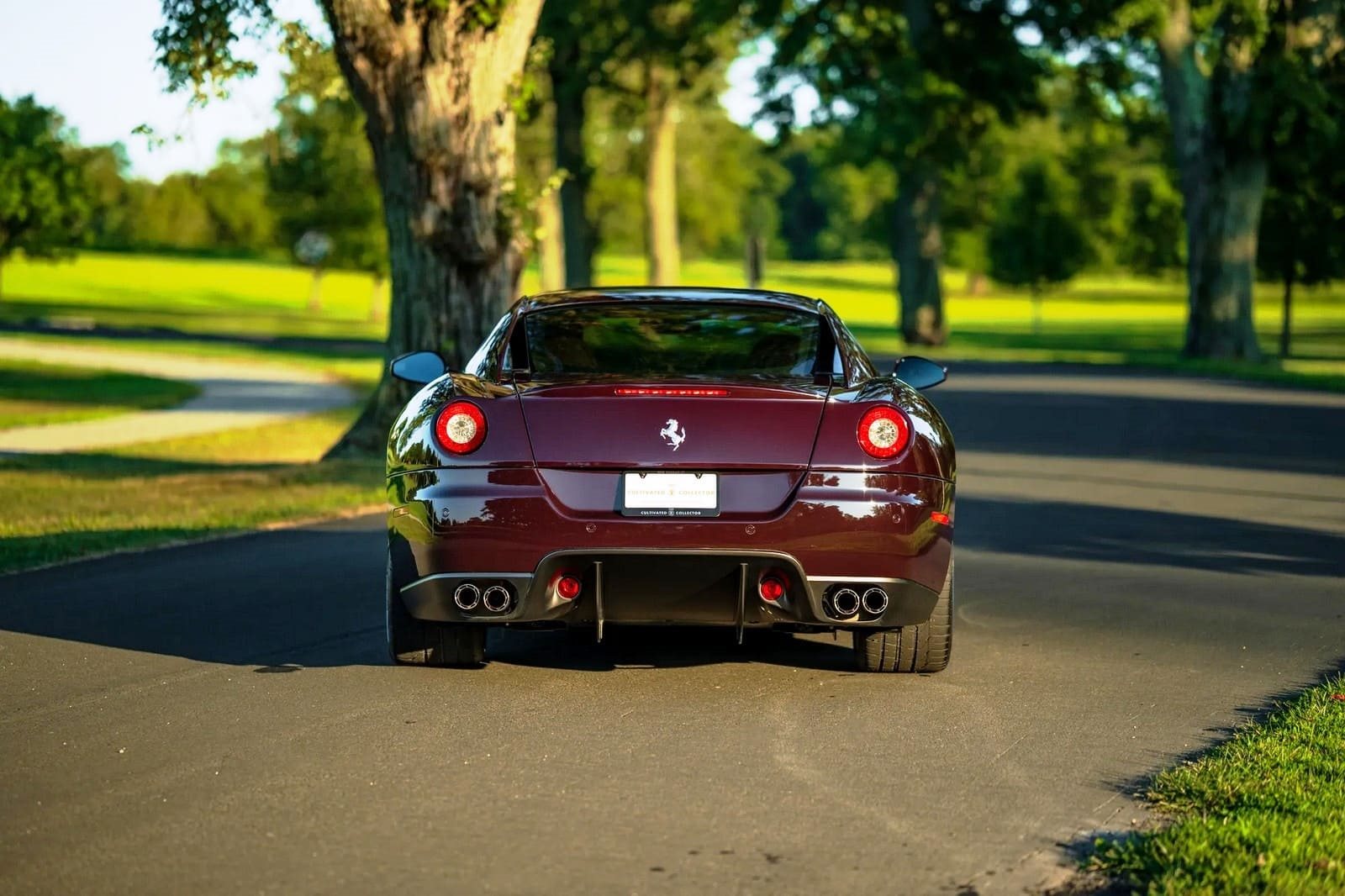 2007 - FERRARI F599 GTB FIORANO VINACCIA, foto 21