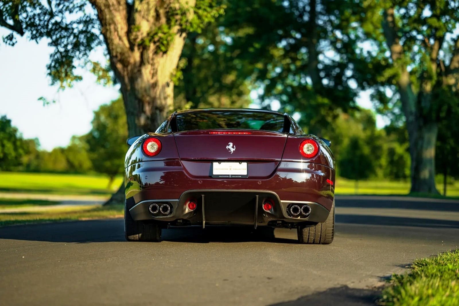 2007 - FERRARI F599 GTB FIORANO VINACCIA, foto 22