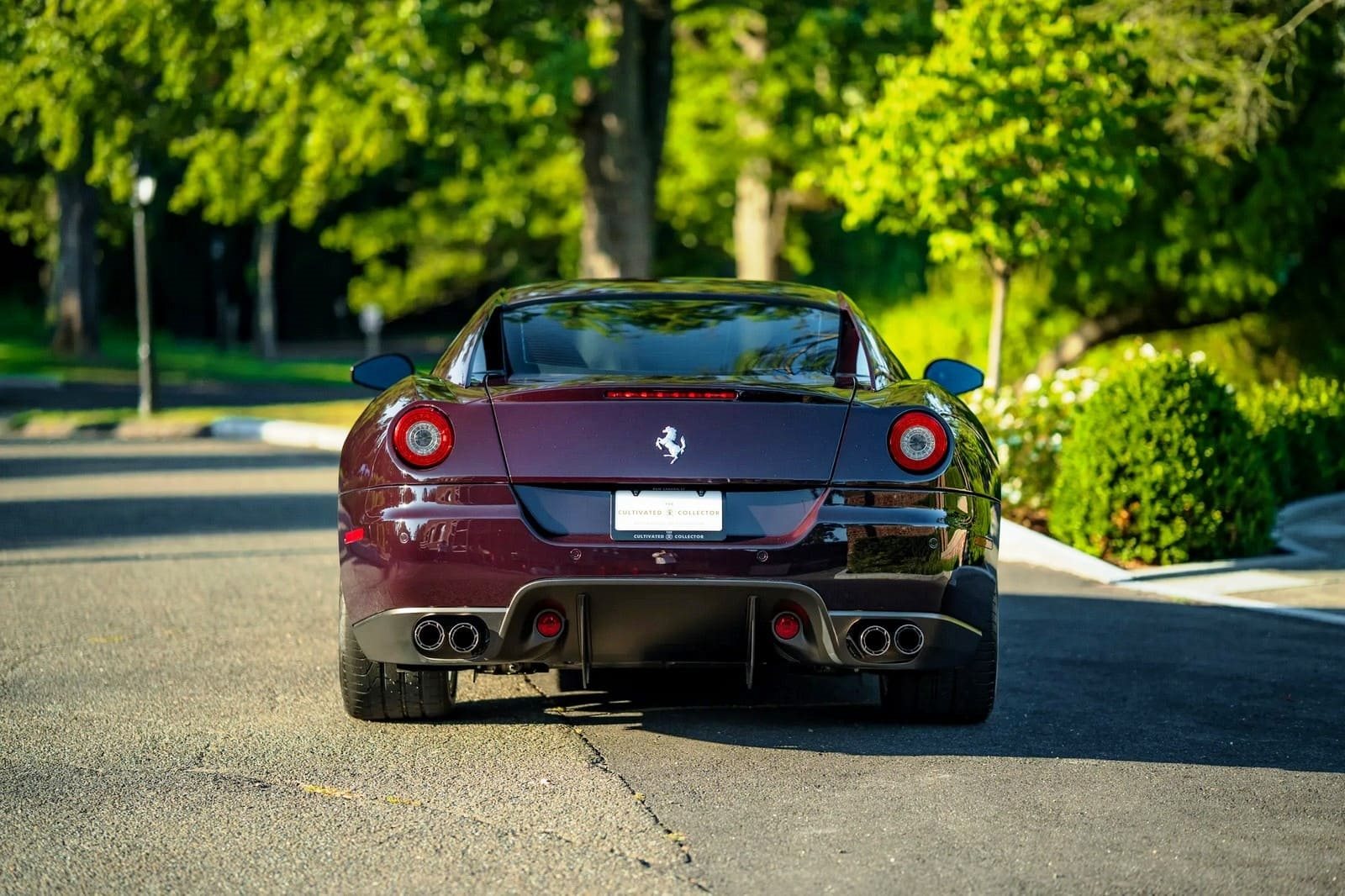 2007 - FERRARI F599 GTB FIORANO VINACCIA, foto 23