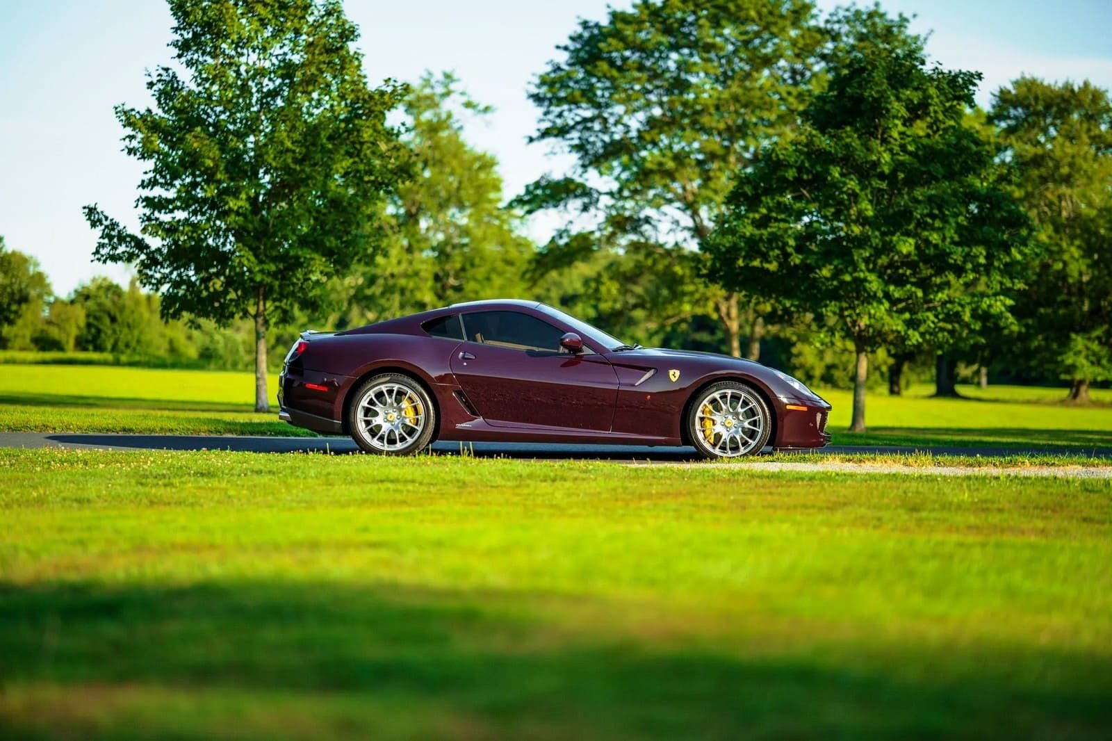 2007 - FERRARI F599 GTB FIORANO VINACCIA, foto 27