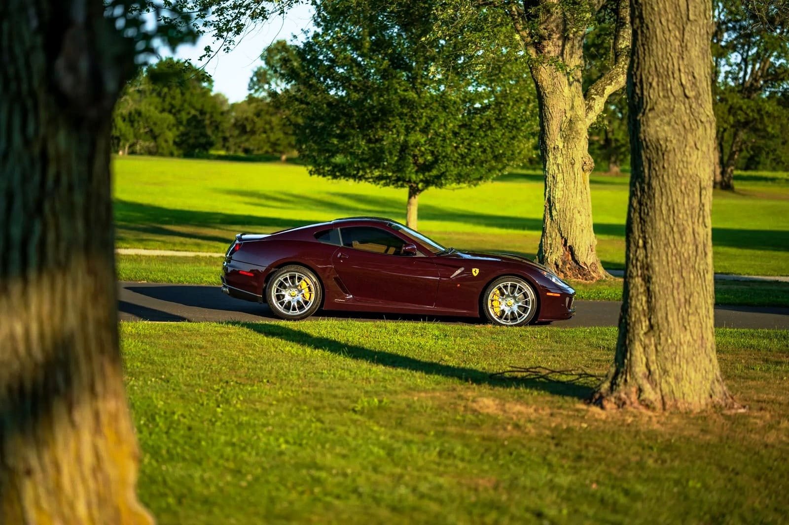 2007 - FERRARI F599 GTB FIORANO VINACCIA, foto 29