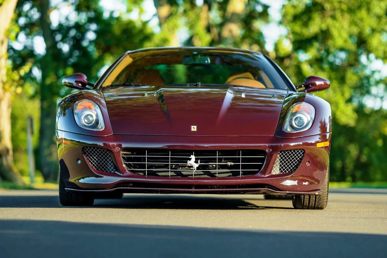 2007 - FERRARI F599 GTB FIORANO VINACCIA, foto 30